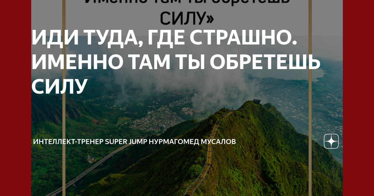 Иди туда где страшно именно там ты обретешь силу джим лоулесс. Иди туда где страшно именно там ты обретешь силу джим лоулесс. Идти туда где страшно книга. Идти туда где страшно книга. Иди туда где страшно.