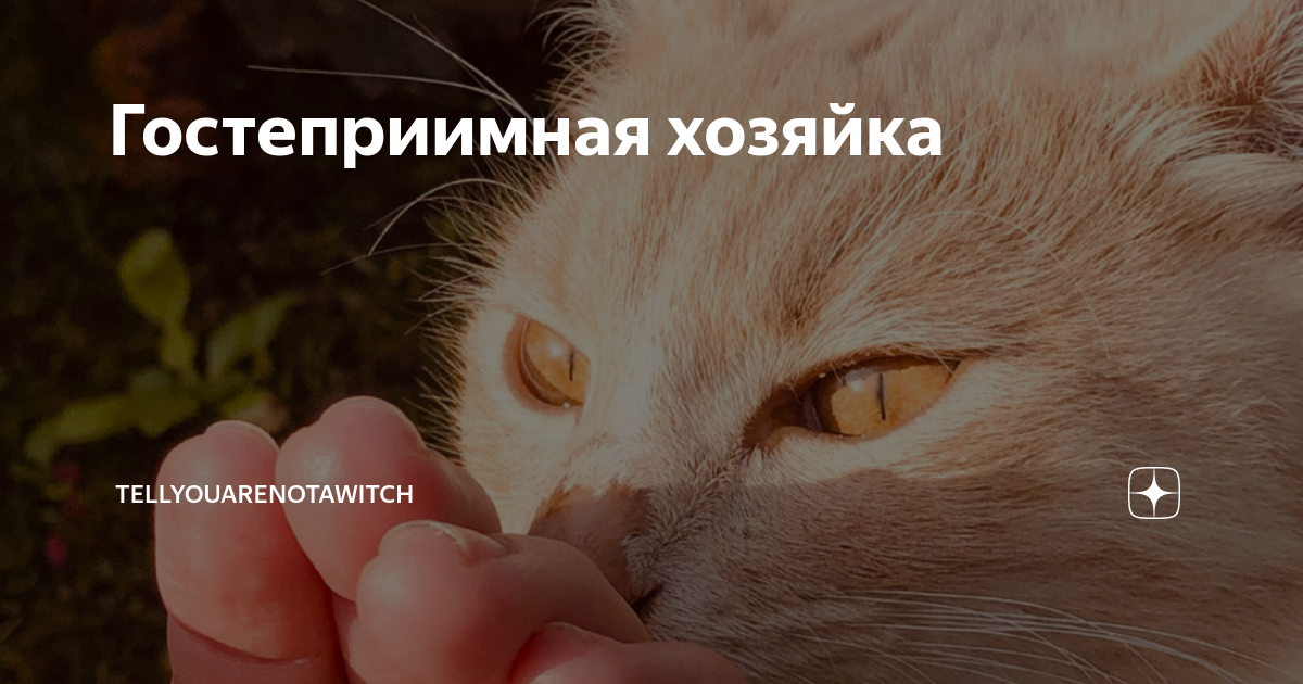 Гостеприимная хозяйка | НеВедьма | Дзен