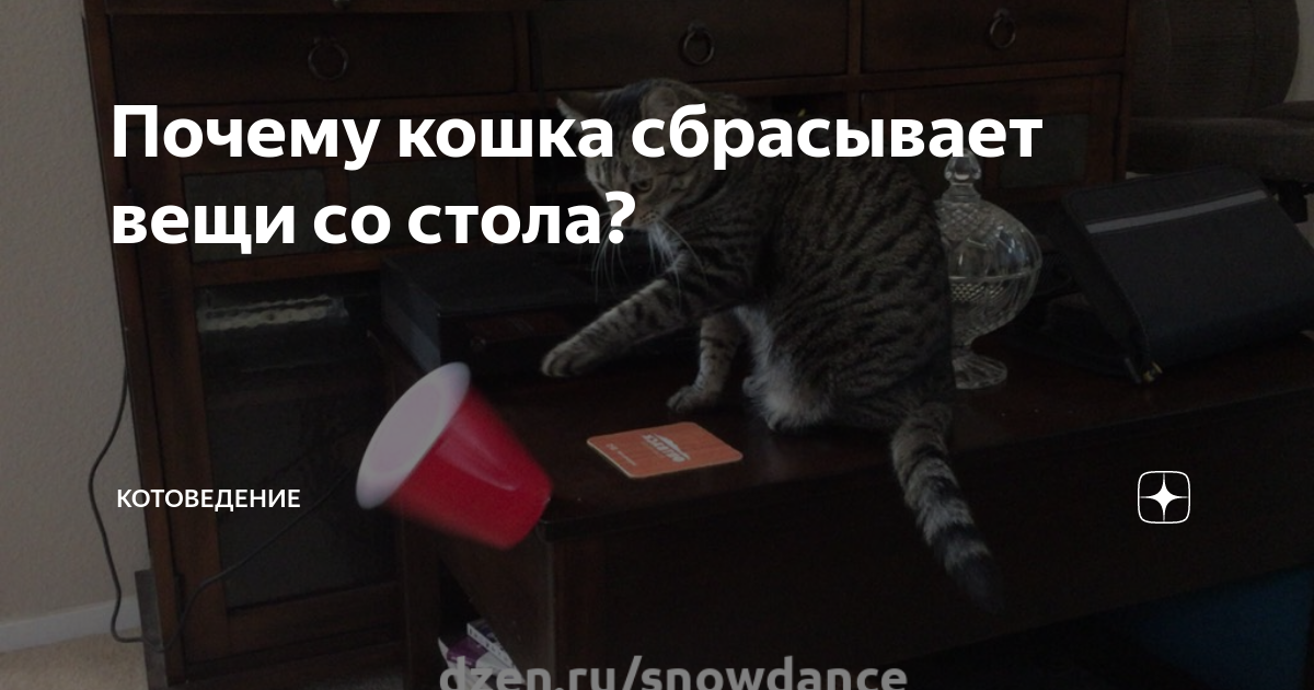 Кот сбрасывает вещи со стола