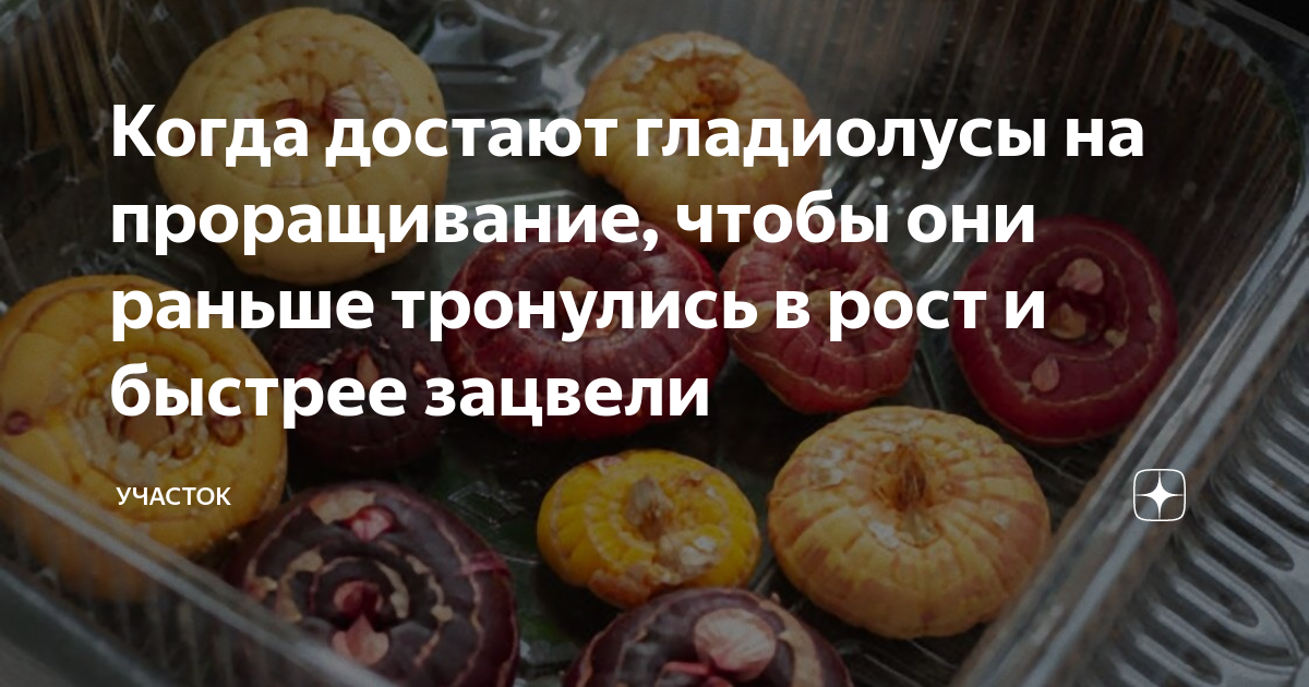 Когда мы тронулись в путь я обратил внимание на одно обстоятельство вслед за моей тележкой