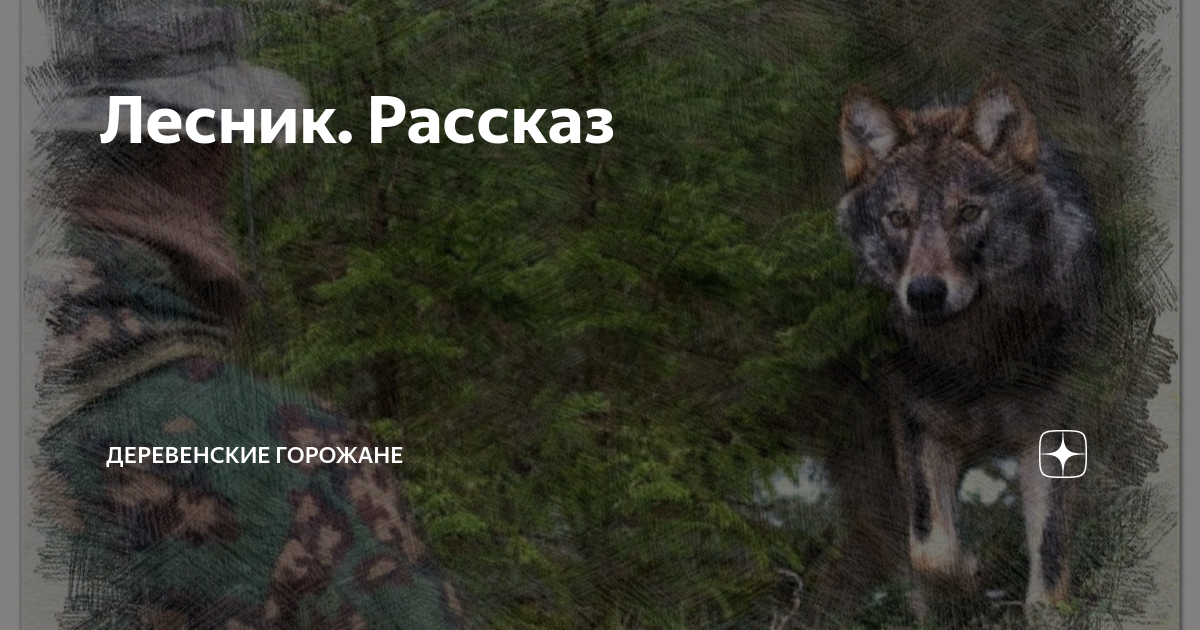 Лесник. Рассказ | На завалинке | Дзен