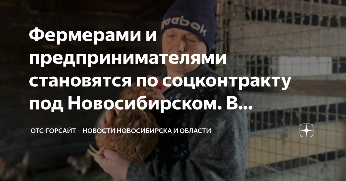 Отс горсайт. Социальный контракт в Иркутской области 2023. Соцконтракт на подсобное хозяйство список животных 2023