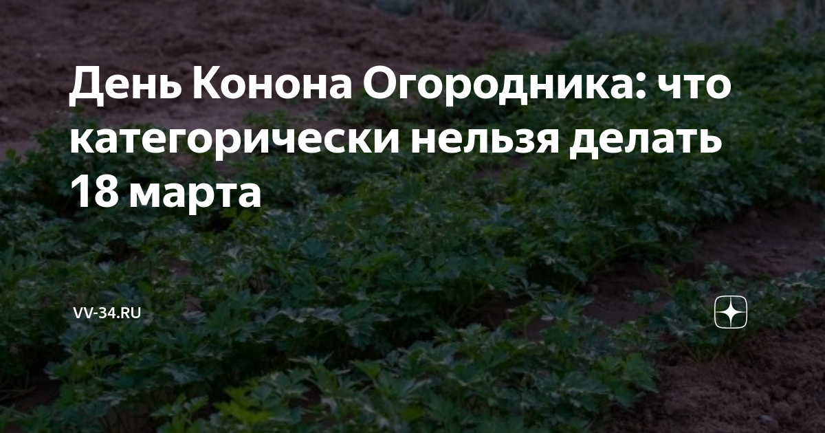 Что нельзя делать 18 февраля 2024. Добрый огород 2023. День Святого огородника Конана. Конон огородник