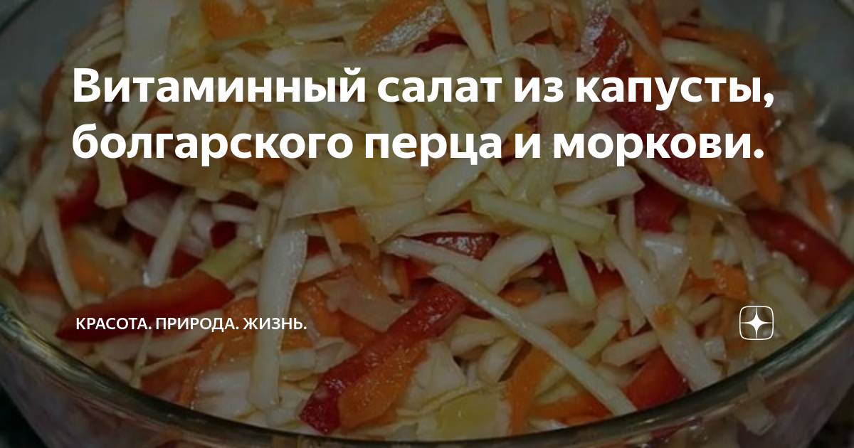 Салат витаминный из капусты и моркови с уксусом - пошаговый рецепт с фото на podarok-55.ru