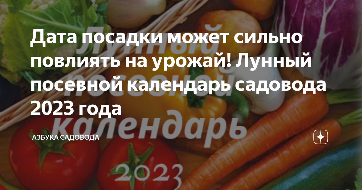 Календарь садовода огородника на ноябрь 2023 г