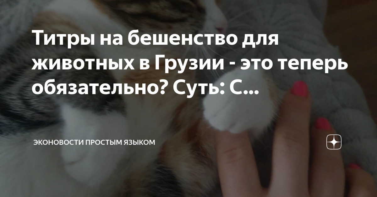 Сертификат титры антител к бешенству. Титры на бешенство у кошек. Титры на бешенство у кошек. Титры на бешенство у кошек. Сертификат титры антител к бешенству.