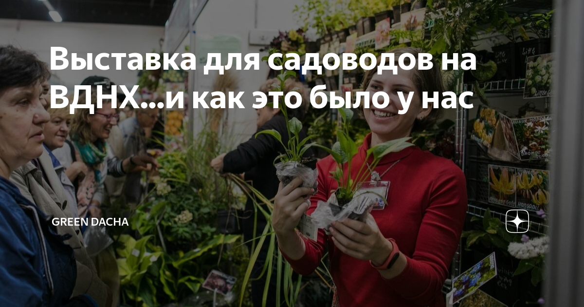 Выставка сад огород на вднх 2024 году. Выставка ВДНХ 2023. Выставка на ВДНХ сегодня ландшафтный дизайн. Выставка дача сад ландшафт малая механизация. Выставка дача сад ландшафт малая механизация 2023 на ВДНХ