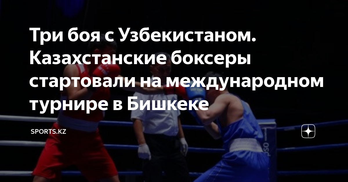 День боксера