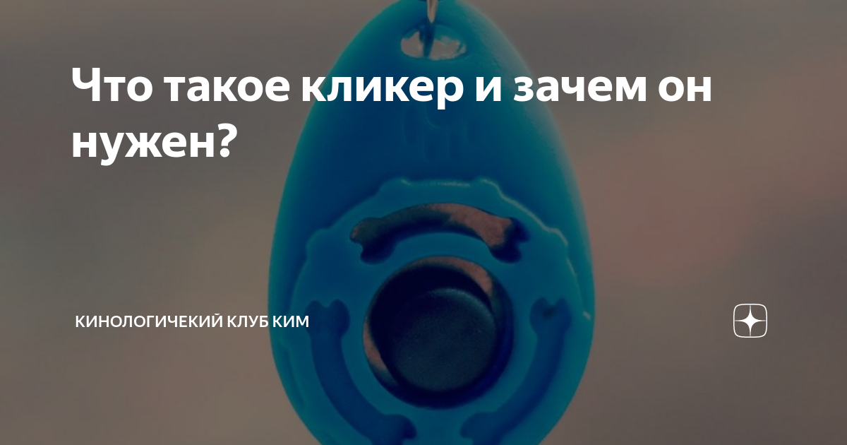 Что такое кликер и зачем он нужен? | Art-o-dogs | Дзен