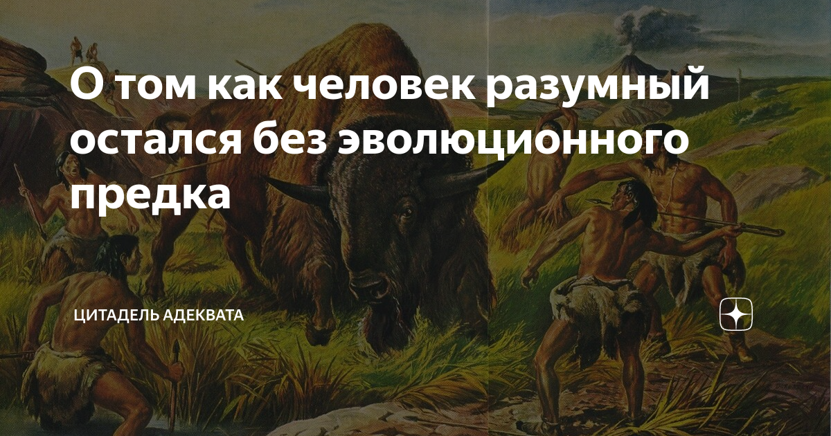 О том как человек разумный остался без эволюционного предка | Цитадель ...