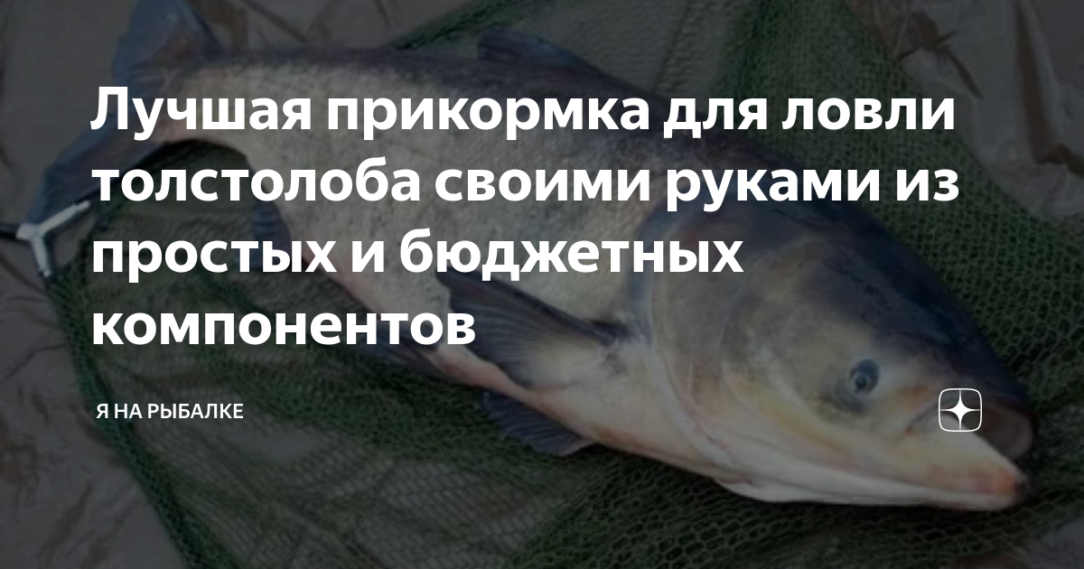 самоделки своими руками в домашних условиях поделки своими руками