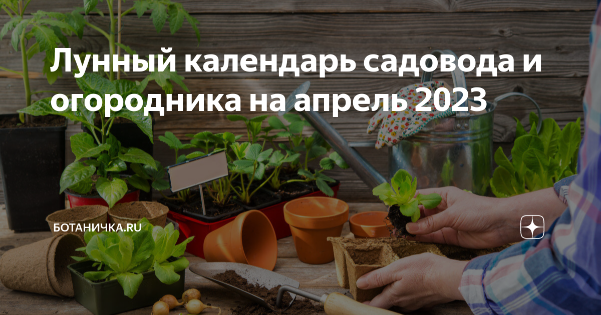 Календарь огородника на апрель 2023