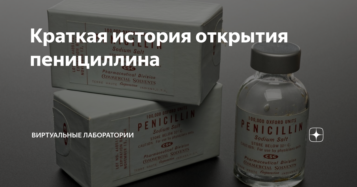 Краткая история открытия пенициллина | VR-Labs | Дзен