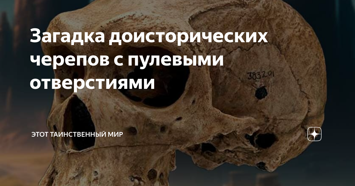 Ископаемые рыбы. Окаменелости рыб. Нашли доисторическую девушку. Нашли доисторическую девушку замороженную 40 млн. Замороженная девушка 40 миллионов лет.