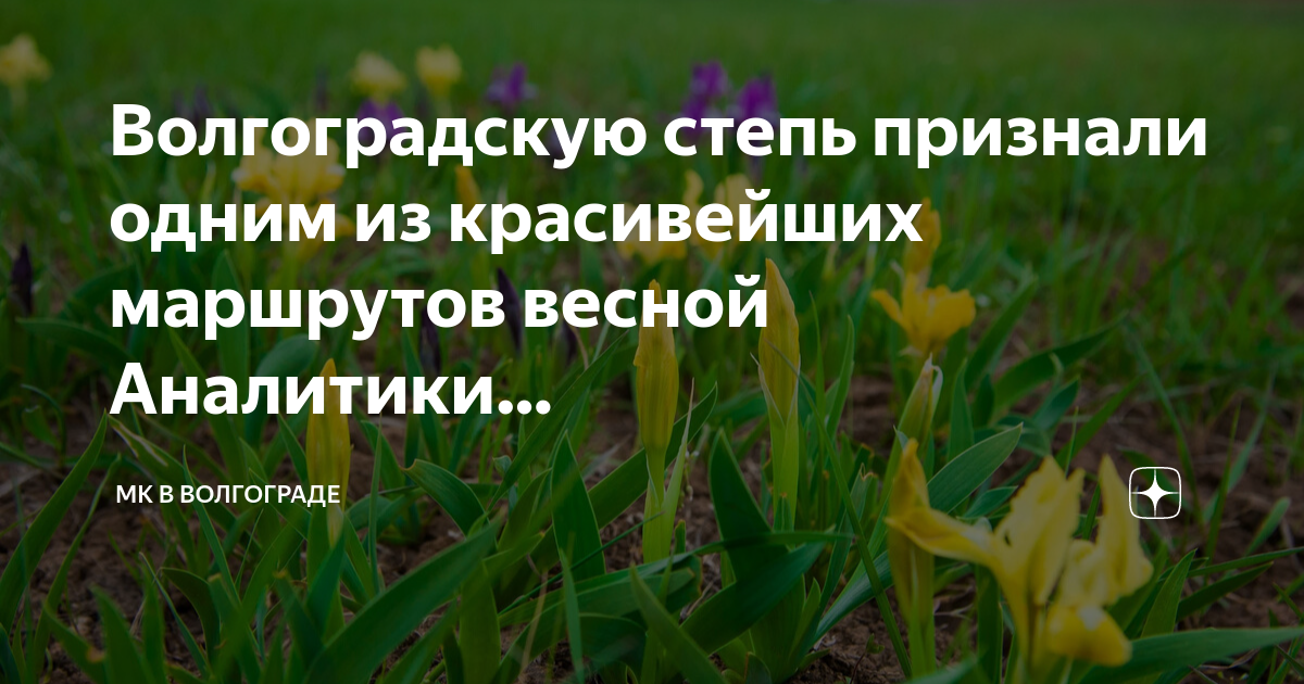 Весенние маршруты. Весенние маршруты. Ольховая 3 владивосток. Весенние маршруты. Весенние маршруты.