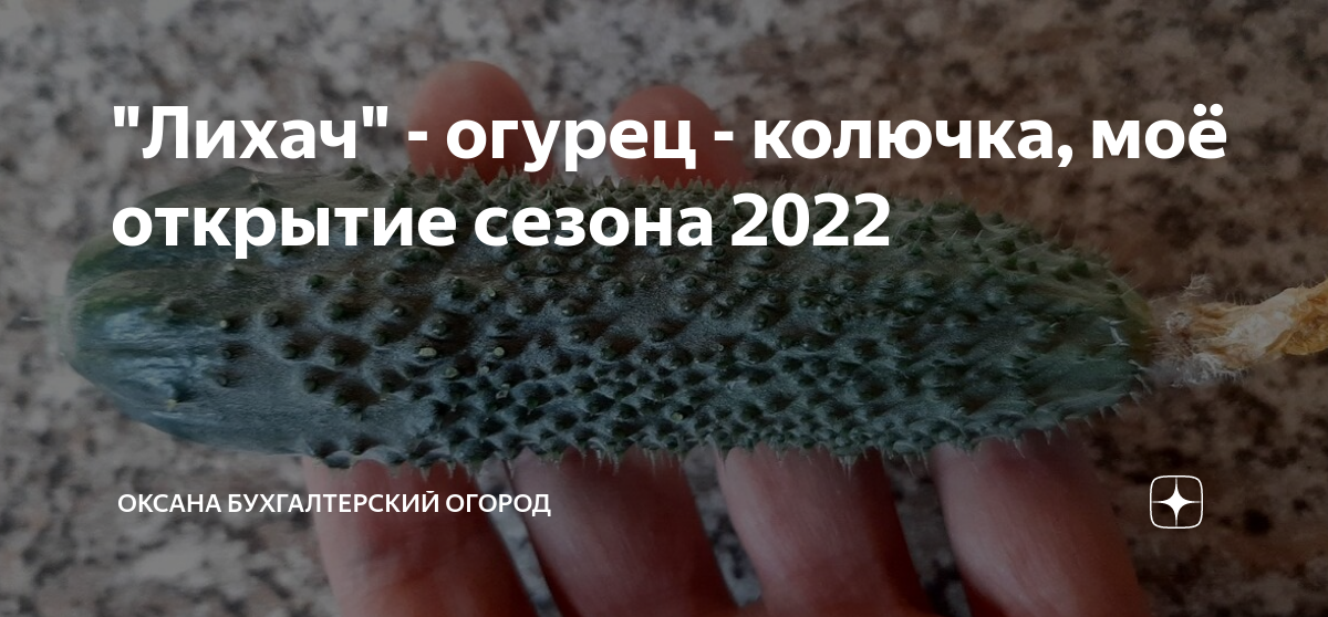 "Лихач" - огурец - колючка, моё открытие сезона 2022 | Оксана ...