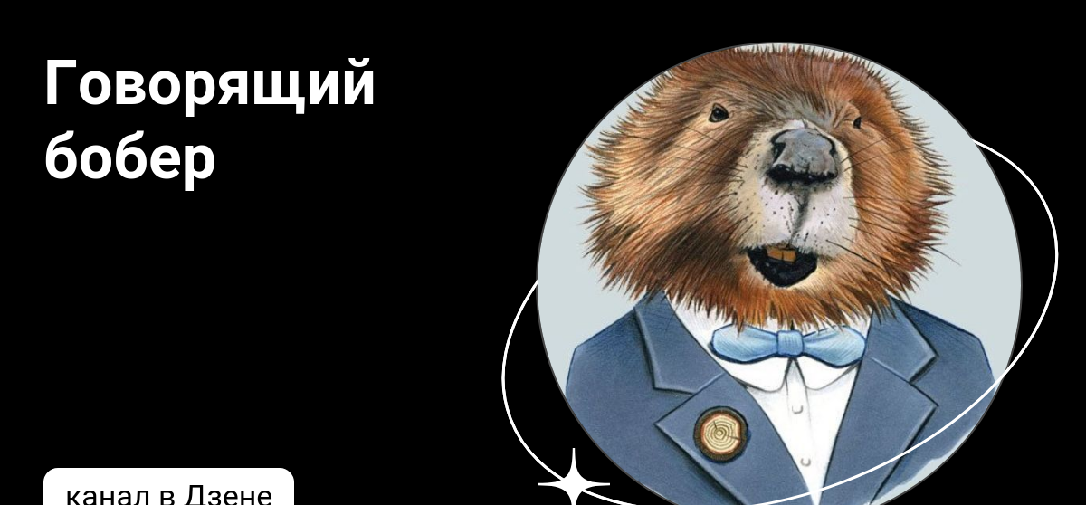Дзен бобер о бразилии. Дзен бобер о бразилии