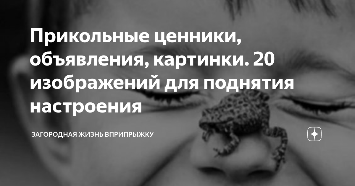 Прикольные ценники, объявления, картинки. 20 изображений для поднятия ...
