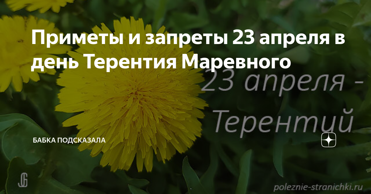 Картинки терентий маревный