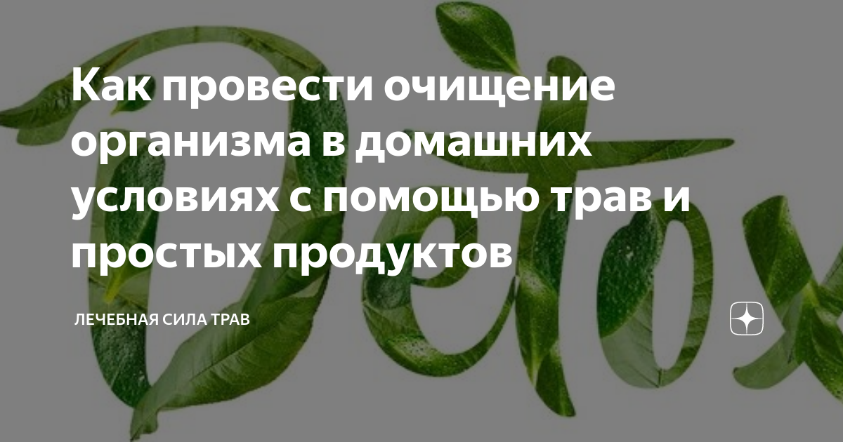 11 главных продуктов для очищения организма - Российская газета