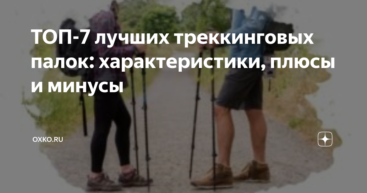 ТОП-7 лучших треккинговых палок: характеристики, плюсы и минусы | oXKo ...