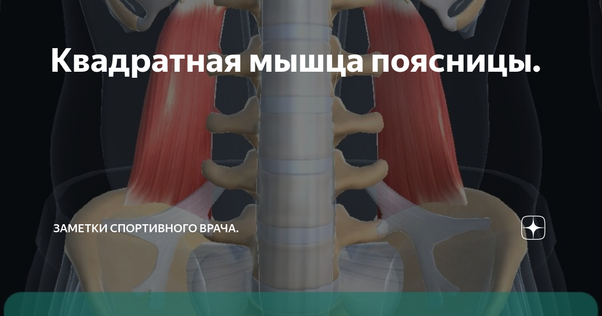 Растяжка квадратной мышцы бедра