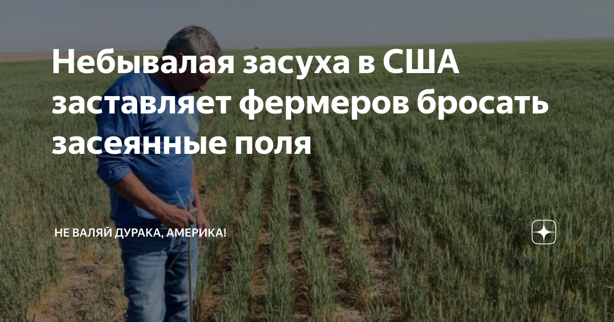 Небывалая засуха в США заставляет фермеров бросать засеянные поля | Не ...