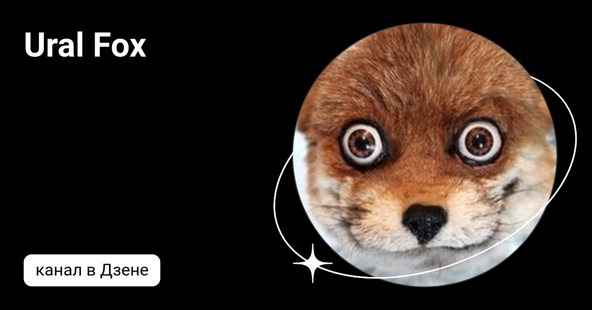 Лиса дзен канал. Лиса дзен канал. Лисенок йог. Лиса дзен канал. Лиса дзен канал.