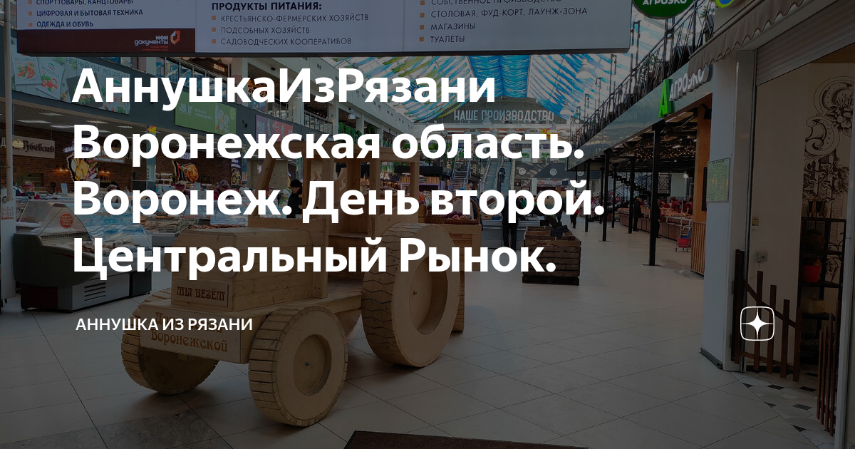 АннушкаИзРязани Воронежская область. Воронеж. День второй. Центральный ...