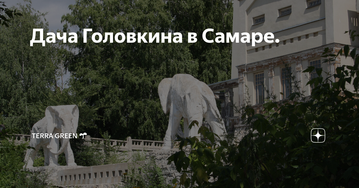 Дача головкина в самаре фото