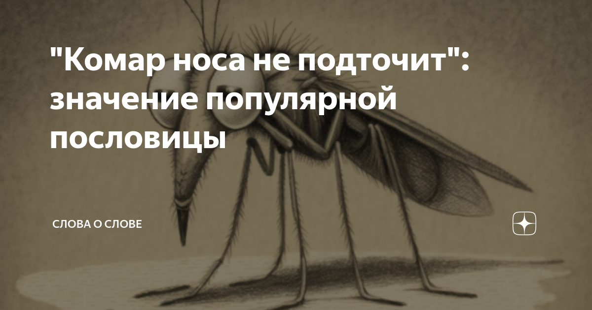 Комар носа не подточит смысл пословицы. Нос комара. пословицы про комара. номинация комар носа не подточит. что означает комар носа не подточит.