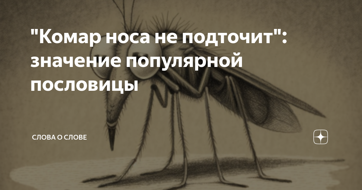 Нос комара. Комар носа не подточит рисунок. Комар носа не подточит фразеологизм. Пословицы про комара.