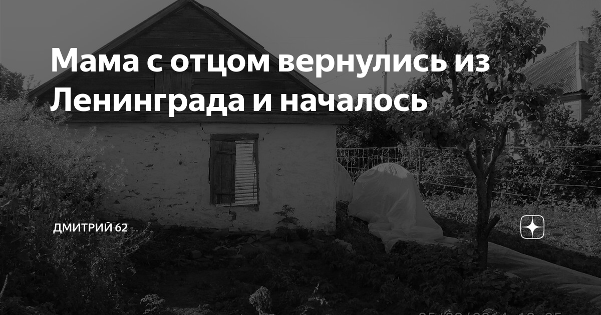 Мама с отцом вернулись из Ленинграда и началось | Дмитрий 62 |Дзен