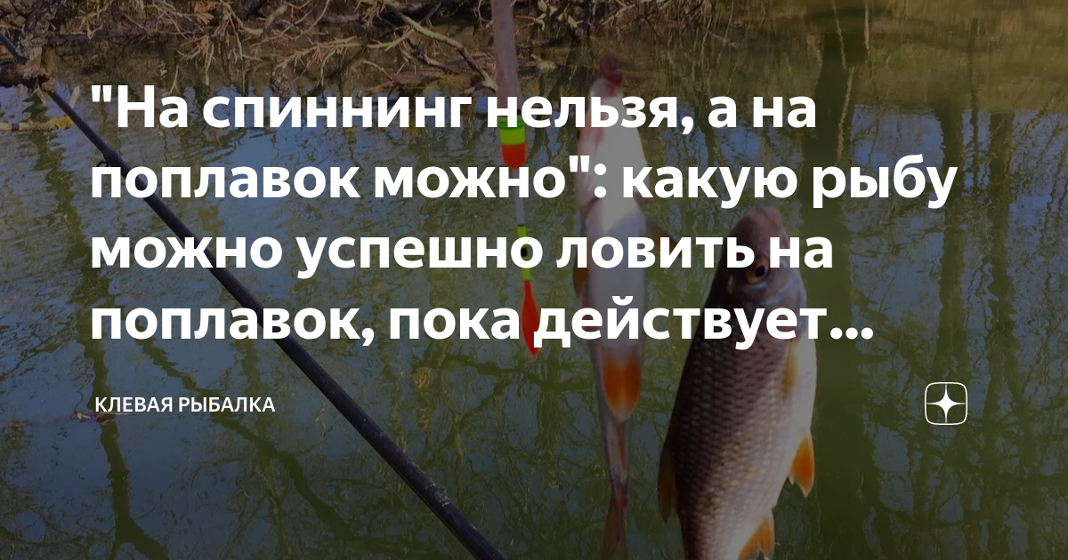 Весенний улов на спиннинг. Нерестовые пруды. Рыбалка поплавок клюёт. Нерестовый запрет в Московской области. Когда нельзя рыбачить