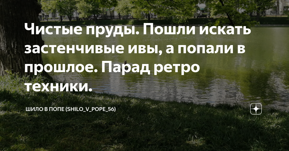 чистые пруды застенчевыеивы. кто написал песню чистые пруды застенчивые ивы. чистые пруды, игорь, игорь тальков. чистые пруды, игорь, игорь тальков. игорь тальков чистые пруды текст песни.