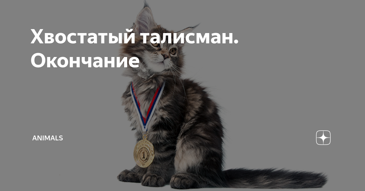 Хвостатый талисман. Окончание | Animals | Дзен