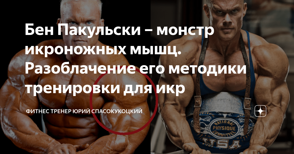 ���� ���� � �������� ��������������: ����.