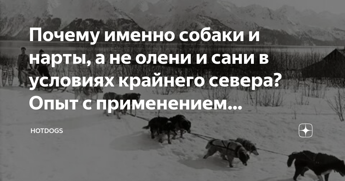 Размер и форма