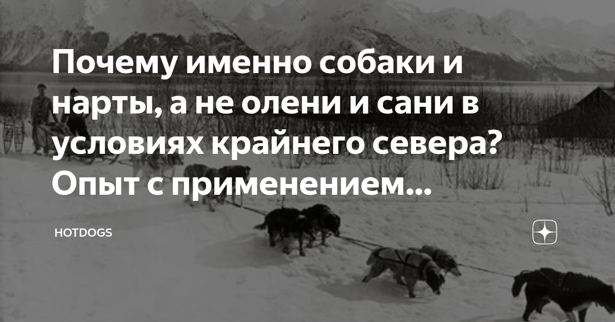 Статьи от Шамана