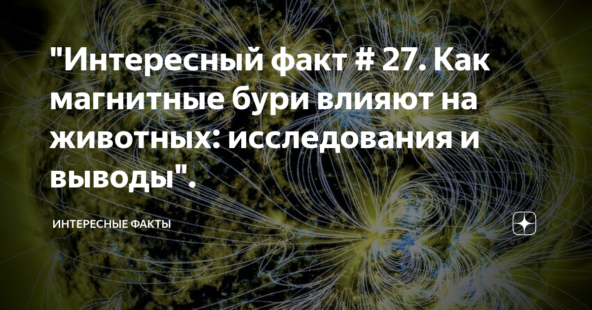 Магнитные бури 1 сентября волгоград дзен. Магнитные бури картинки прикольные. Магнитная буря влияние на животных. Магнитное поле земли.