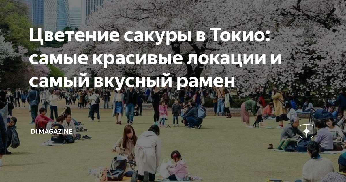 Цветение сакуры в Токио: самые красивые локации и самый вкусный рамен ...