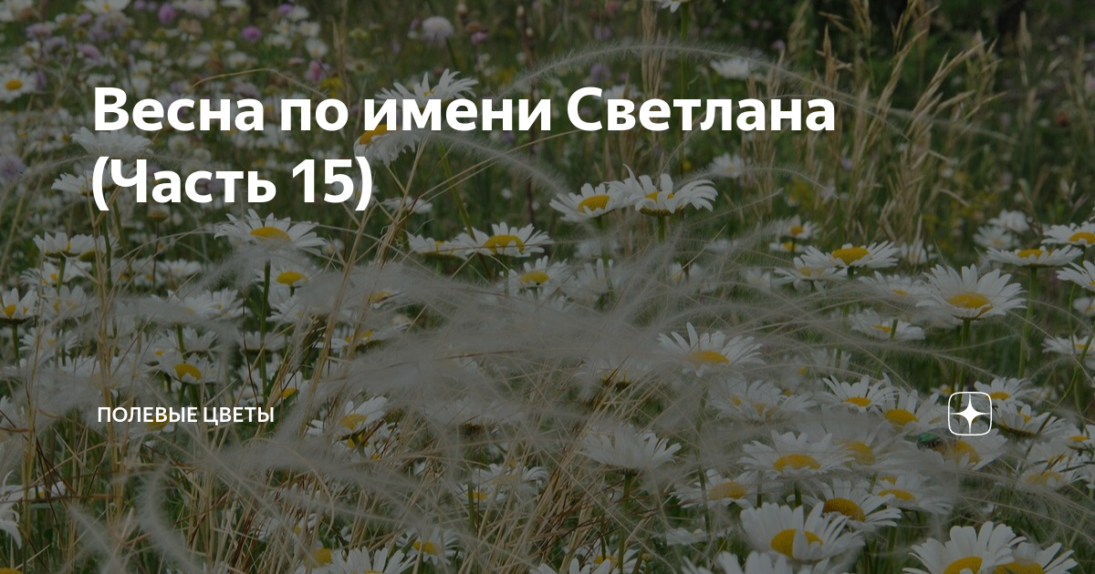 Весна по имени Светлана (Часть 15) | Полевые цветы | Дзен