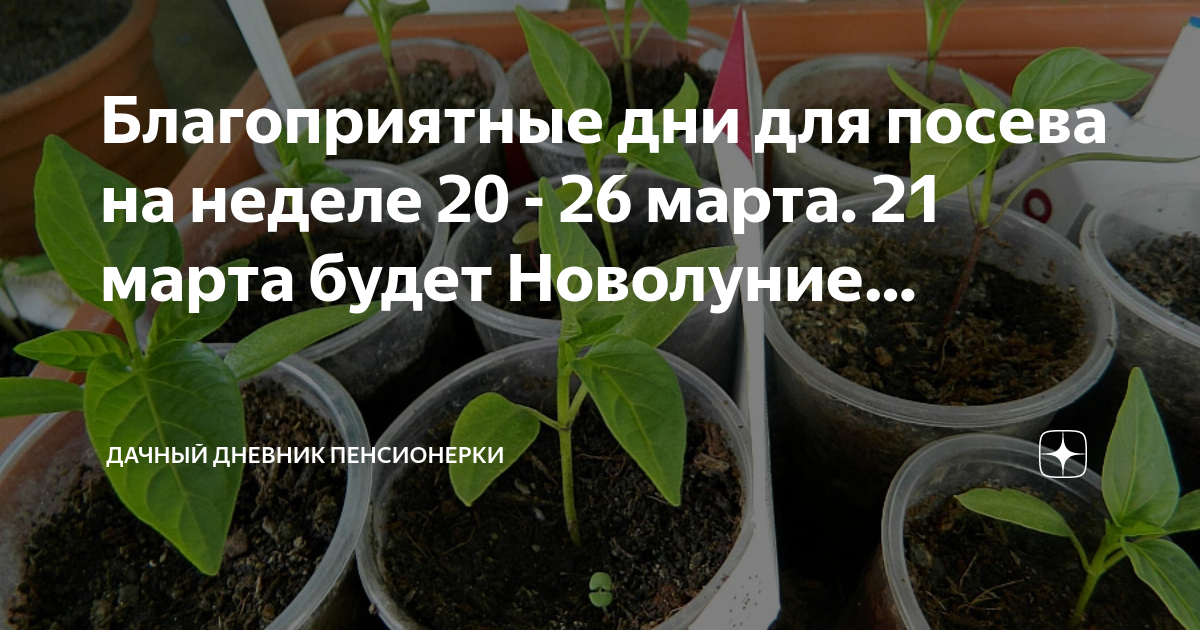 Дни посадки редиса в марте 2024 благоприятные. Благоприятные дни для посадки томатов в марте 2023 года. Благоприятные дни для посева томатов в Белоруссии. Посадка томатов в марте месяце. Благоприятные дни для посадки томатов в марте 2024г.