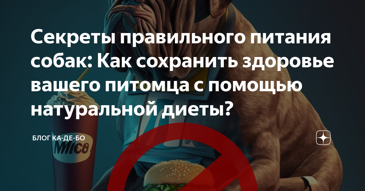Жизнь по совести: важность правильного рациона для современных собак