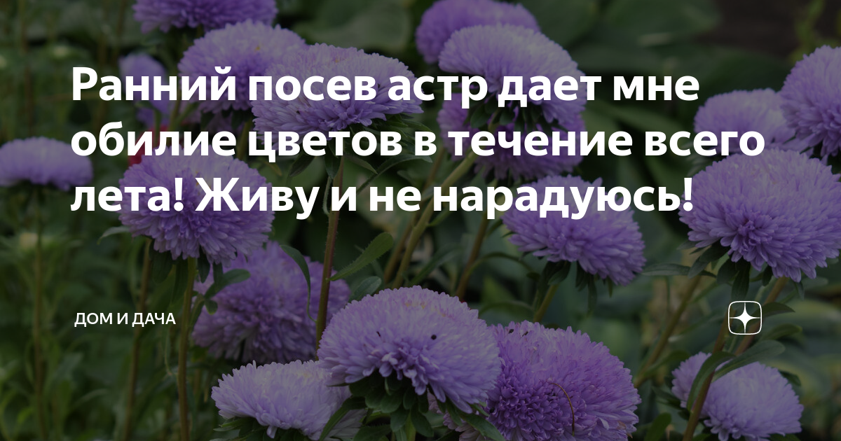 Никак не нарадуюсь новому гаджету