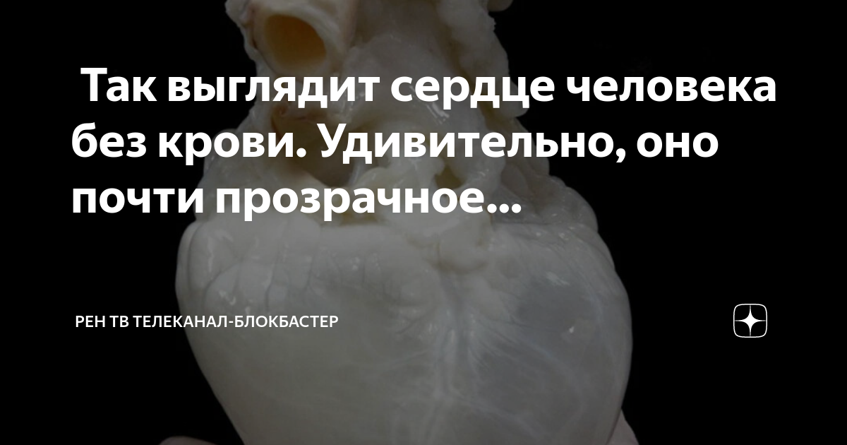 Американцы вырастили живое сердце из перепрограммированных клеток - Hi-News.ru