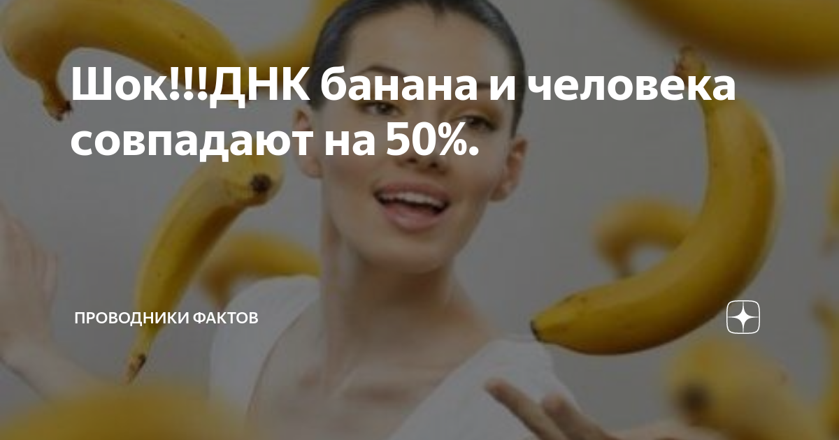 На сколько совпадает днк человека и банана