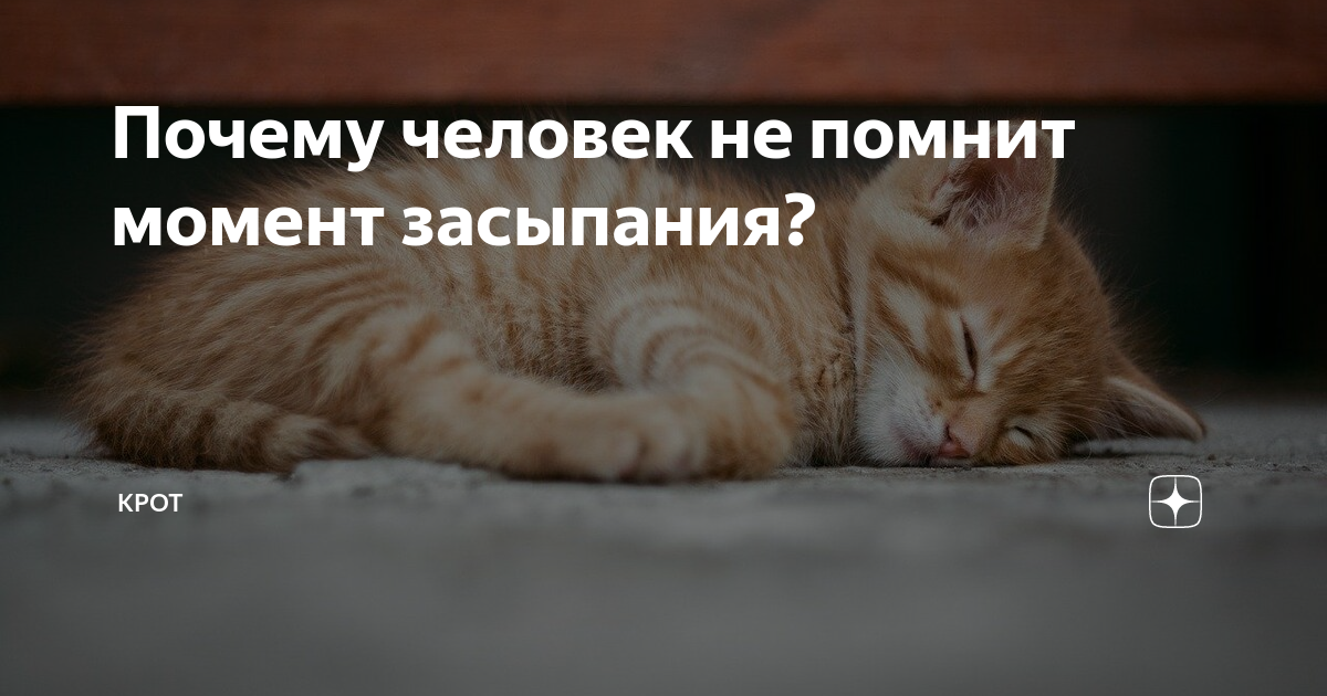 Как быстро разбудить человека. Как разбудить человека если он крепко. Как легко разбудить человека. Способы разбудить человека. Как разбудить человека который крепко спит.