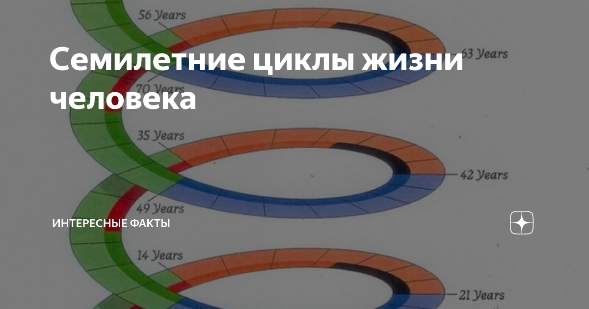 семилетние циклы в жизни человека таблица. цикл жизни человека. 7 летние циклы жизни. семилетние циклы развития человека. возрасты жизни человека.