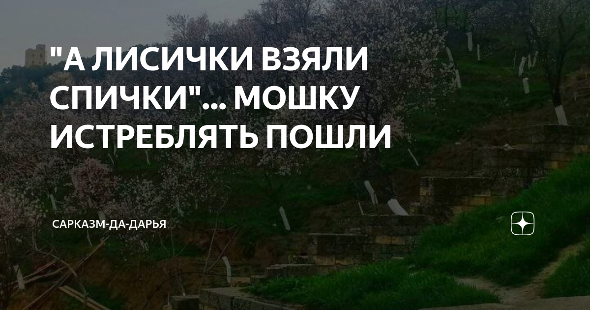 "А ЛИСИЧКИ ВЗЯЛИ СПИЧКИ"... МОШКУ ИСТРЕБЛЯТЬ ПОШЛИ | Дачинг уровня бог ...